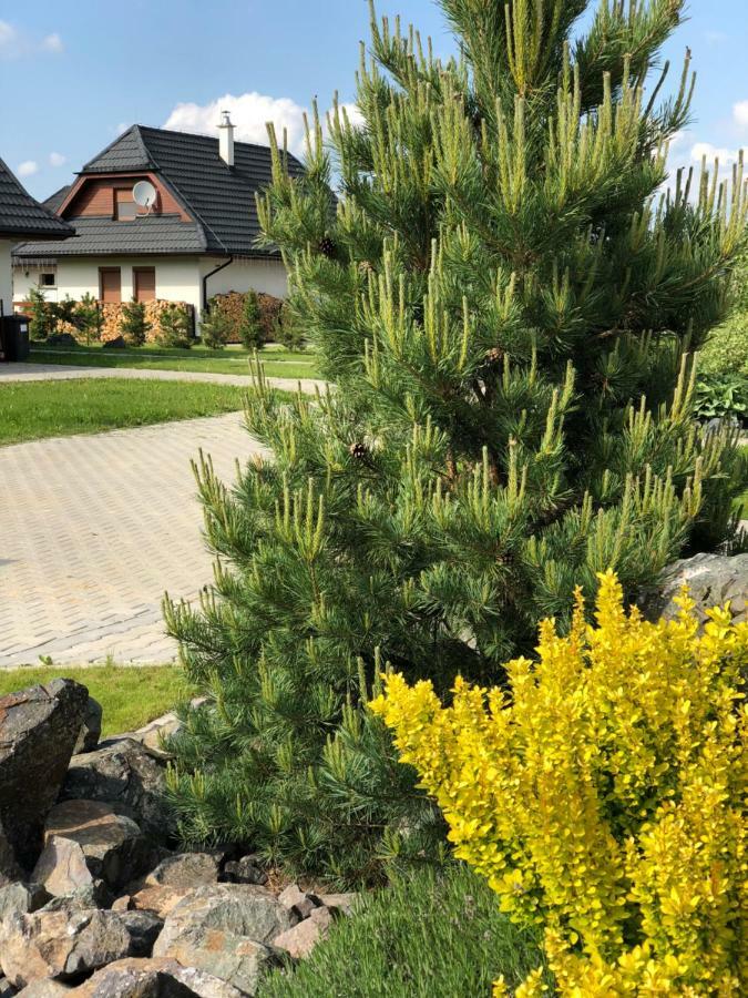 Villa Detvan Stará Lesná Exteriör bild